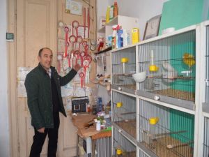Milyonluk Binayı Kuşlara Tesis Etti