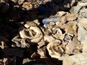 Mardin’de 1 Ton Patlayıcı Ele Geçirildi