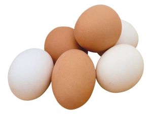 Tavuk Yumurtası Üretimi Azaldı