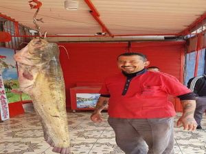 Oltayla Yakalandı: Tam 45 Kilo !