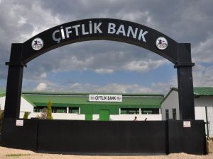 Tabelaları Söküldü
