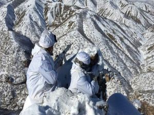 Pkk’ya Bir Darbe De Şırnak’tan