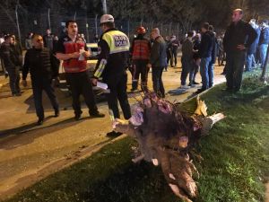 Kontrolden Çıkan Otomobil Ağacı Kökünden Söktü: 3 Yaralı