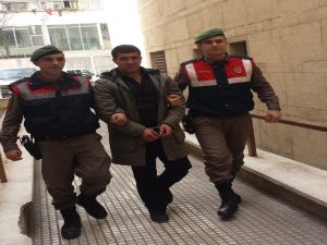 Devriye Gezen Jandarma Pkk Üyesini Yakaladı