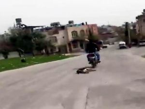 Vicdansızlığın Böylesi !