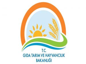 Tarım Bakanlığı Domuz, At, Eşek Eti Satanları İfşa Etti