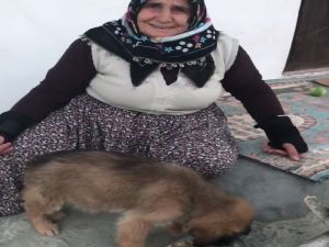 Boncuk Sosyal Medya Fenomeni Yaptı