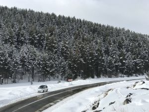 Sarıkamış’ta Kartpostallık Kar Görüntüleri