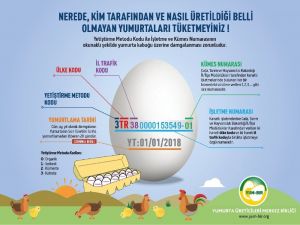 Yumurtada Yeni Dönem 1 Nisan’da Başlıyor