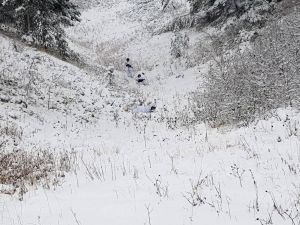 3 Terörist Etkisiz Hale Getirildi