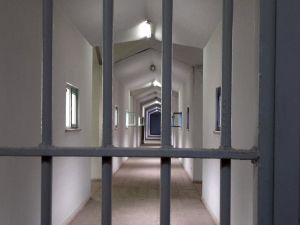 Şanlıurfa’da Tefecilik Operasyonu: 6 Tutuklama
