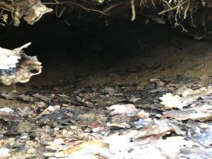 Biri Tow Füzesi İle Tuzaklanmış 9 Sığınak İmha Edildi