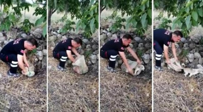 Ağzı bağlı çuvalın içinde yol kenarına bırakılmış halde bulundu