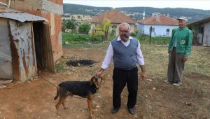 Tümör İle savaşan Halil Amcadan Yardım Talebi