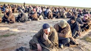 DEAŞ inekler ile saldırdı