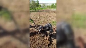 Din görevlileri yaşlı amcanın tarlasını sürdü