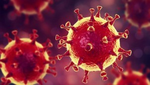Koronavirüs mücadelesinde Trakya'da İlke İmza Atıldı