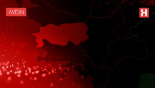 Aydın'da Korkutan Yangın! Ev Kül Oldu