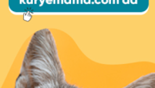 Pro Plan Köpek Maması veya Kedi Mamalarını Kampanyalı Fiyatlardan Ulaşabilirsiniz