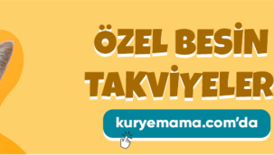 Kedi Vitaminleri ve Paspasları Köpek Sakinleştirici Ürünler kuryemama.com'da