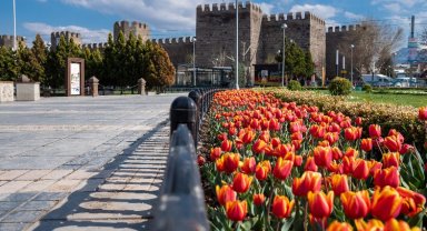Büyükşehir, Kayseri'yi çiçek bahçesine dönüştürüyor, 1 milyon çiçeği toprakla buluşturuyor