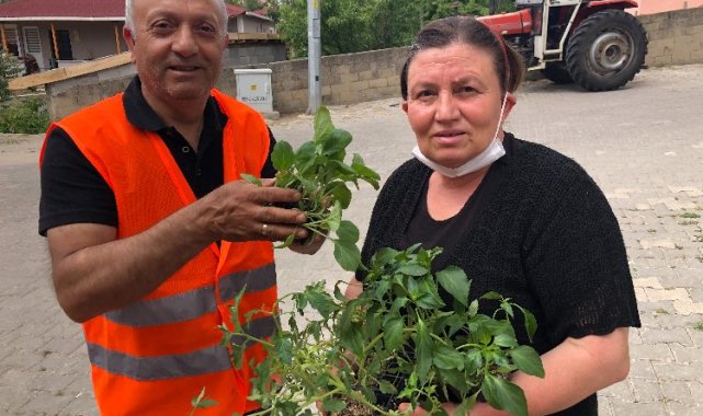 Edirne'de Süloğlu Belediyesi 5 bin sebze fidesi dağıttı