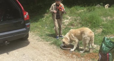 Kırklareli Vizeli kemancı Turunç, sahipsiz canlara keman çalıyor