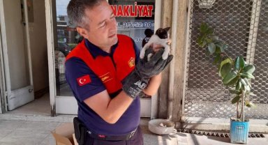 Aydın'dan can dostlar için hayat kurtaran uyarı