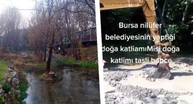 Bursa Nilüfer Belediyesi'nden Misi'de doğa katliamı!