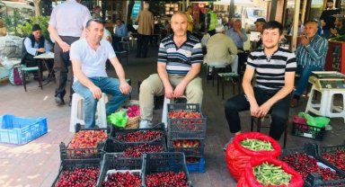 Bursa'da köylüler enflasyona karşı direnmeye çalışıyor (ÖZEL HABER)
