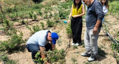 Bursa'nın dağ ilçelerindeki bahçelerden şüpheli numuneler alındı
