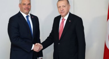 Cumhurbaşkanı Erdoğan Avusturya Başbakanı ile görüştü