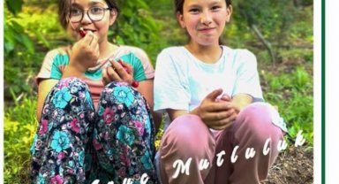İzmir Bayındır'da kiraz festivali başlıyor