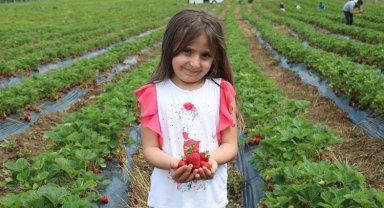 Sakarya'da genç kuşağa 'tarım' aşısı