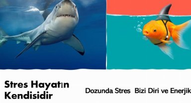 BTSO Akademi iş dünyasına yönelik eğitimlerini sürdürüyor