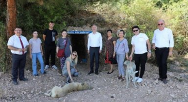 Bursa İnegöl'de sokak canlılarına doğal alanlar