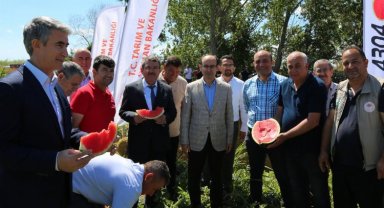 Bursa Karacabey'de karpuz hasadı
