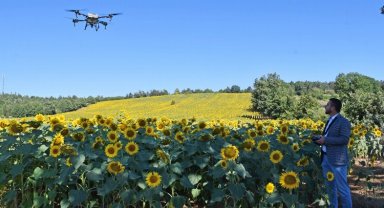 Bursa Kestel'de 'çayır tırtılı'na drone önlemi