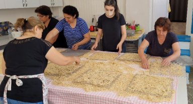 Bursa kırsalındaki üreten kadın kooperatiflerine teknolojik destek