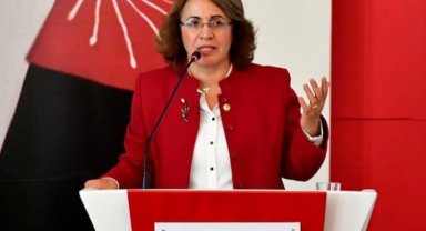 CHP'li Fatma Köse'den 'Danıştay'a tepki