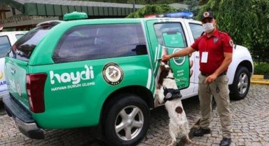 HAYDİ'yi 2 yılda 218 bin kişi indirdi