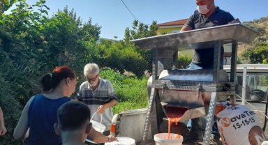 İzmir Efes Selçuk'ta salça zamanı... "Ezilenler domates olsun"