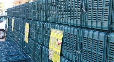 Manisa'da kasalar hazır, Eylül'de dağıtılacak... Yüzde 100 hibeli 60 bin zeytin kasası dağıtılacak