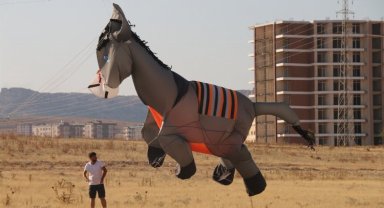 Mardin'den Bali'ye eşekle uçacak!