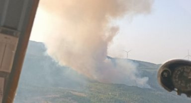 Meteoroloji uyarmıştı, korkulan oldu... Aydın Söke'de orman yangını!