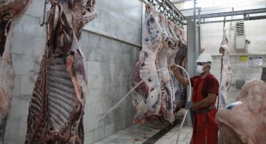 Muğla Büyükşehir'den hijyenik mezbaha