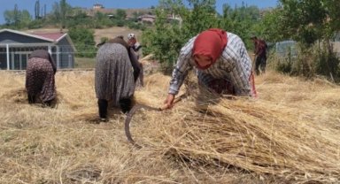 40 derecelik sıcaklıkta vatan için buğday dikiyor