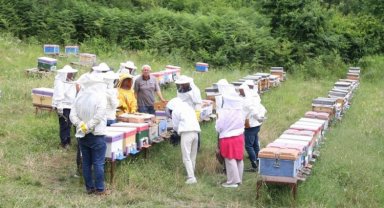 Arı yetiştiricileri ilkleri KO-MEK'te öğreniyor