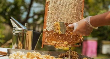 Bal ihracatı yüzde 76 arttı