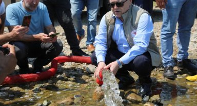 Bursa göletlerine 2,5 milyon sazan bırakıldı